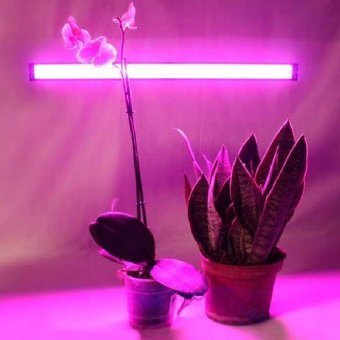 Светодиодный фитосветильник для растений ANYSMART, 9W, комплект 2 шт