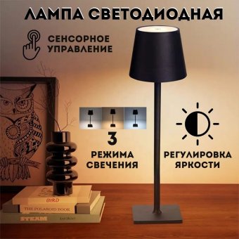 Светильник настольный светодиодный ANYSMART черный