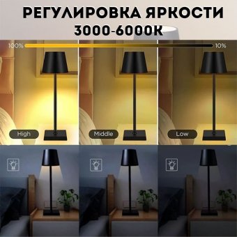 Светильник настольный светодиодный ANYSMART черный