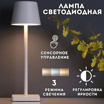 Светильник настольный светодиодный ANYSMART белый