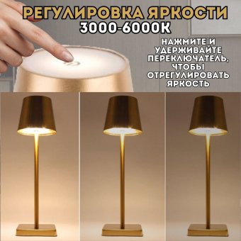 Светильник настольный светодиодный ANYSMART цвет золотой