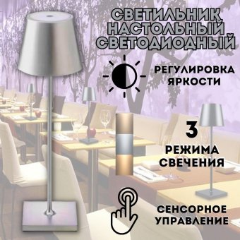 Светильник настольный светодиодный ANYSMART цвет серебряный