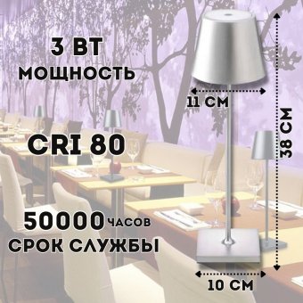 Светильник настольный светодиодный ANYSMART цвет серебряный