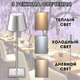 Светильник настольный светодиодный ANYSMART цвет серебряный