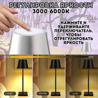 Светильник настольный светодиодный ANYSMART цвет серебряный