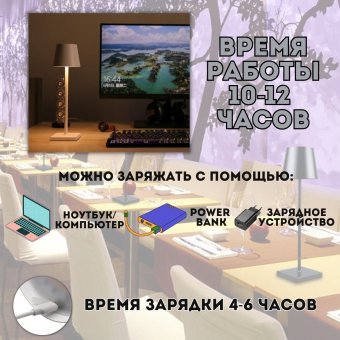 Светильник настольный светодиодный ANYSMART цвет серебряный