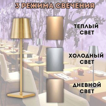 Лампа настольная светодиодная ANYSMART цвет золотой