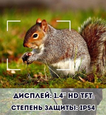 Тактический бинокль ночного видения с инфракрасным светодиодом до 300 м, ANYSMART 8х