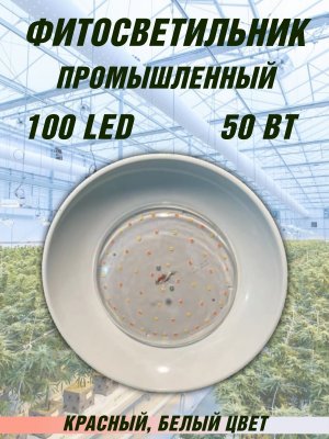 Фитосветильник светодиодный промышленный 50 Вт PowerNest 227552